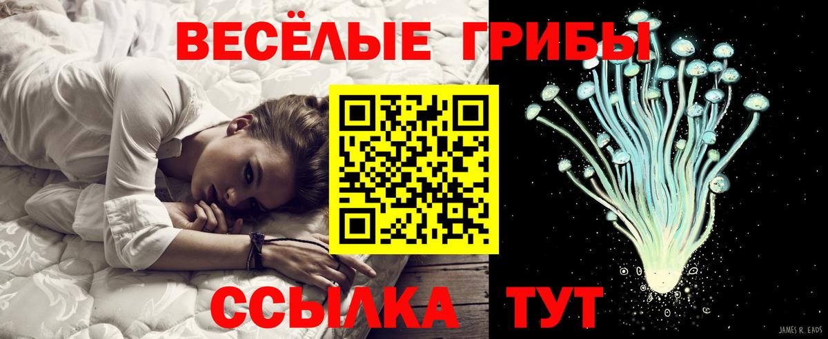 Псилоцибиновые грибы GOLDEN TEACHER Новодвинск