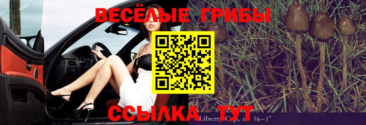 Новодвинск  Псилоцибиновые грибы Magic Shrooms  Псилоцибиновые грибы мицелий  Вход с VPN 